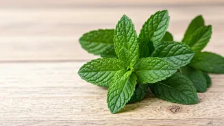 Natural Approaches to Managing Hormonal Acne