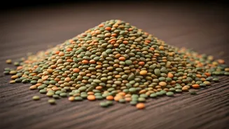 Dal-Based Meals Are Quietly Fibre-Smart