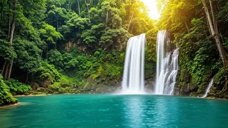 Related Stories banner