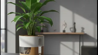 Why self-watering pots protect sensitive tropical greens while professionals travel for work
