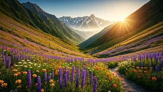Uttarakhand's Floral Trek Is Back On Wishlists