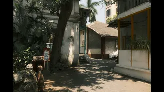 Extreme Heat in India Poses Risks to Dogs' Health