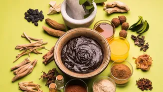 Understanding Ultra-Processed Foods Starts With The Latest Scientific Evidence
