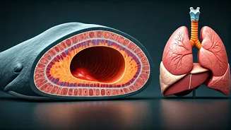 Whales vs. Cancer: A Lesson in Resilience