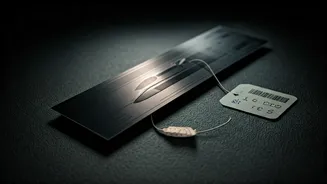 Japan Rail Pass Price Hike: Budgeting for Your Dream Trip from October 2026