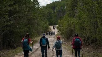 How virtual hiking makes walking more fun