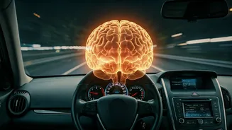 Does Driving Affect Your Brain Health?