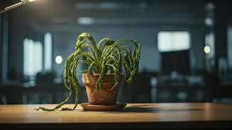 The 'Office Air' Phenomenon: Unpacking Why Your Skin and Hair Look Tired by Day's End