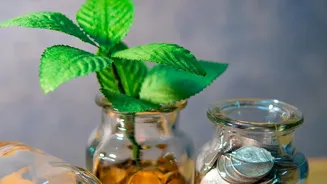 Tax-Saving Mutual Funds Blueprint: Channeling Tax Savings Straight Into Wealth Creation Portfolios