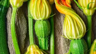 Mushrooms Bring Umami While Zucchini Takes On Other Flavours Easily, As Both Foods Have Distinct Micronutrient Profiles