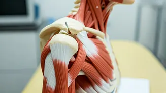 5 Simple Shoulder Pain Relievers: Easy Exercises