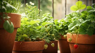Balcony Gardens Are Everyone's Happy Place
