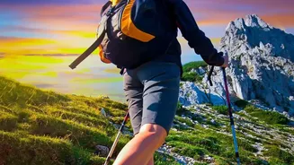 Nordic Walking's Everyday Fitness Shift: A Closer Look At Gradual Training