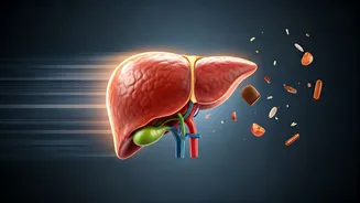 Quick Bites, Big Impact: How Skipping Meals and Eating On-the-Go Harm Your Liver