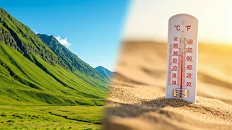 Temperature Now Matters More Than Destination Hype