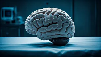 How Does Sleep Deprivation Affect Your Health?