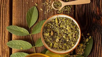 Natural Stress Relief Guide: Ashwagandha vs Brahmi Comparison For Modern Young Professionals