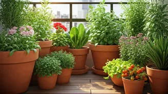 Balcony Pots Are Perfect For Beginner Gardeners