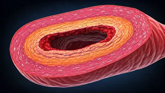 Calcium Buildup: Arteries, Kidneys, and Vitamin D