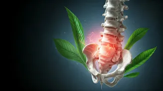 Disha Parmar's Slipped Disc Journey: Finding Strength Through Exercise Despite Pain