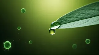 Mastering Your Post-Lockdown Stamina: 5 Expert-Backed Natural Boosters