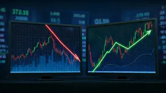 Foreign & Domestic Investors Clash in Indian Equity Market