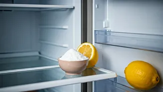 Banish Fridge Odors: 4 Budget-Friendly Hacks for a Fresh-Smelling Refrigerator