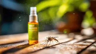 Are mosquito repellents safe?