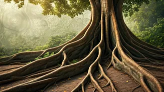 Tree Nerds Have A New Delhi Travel Map