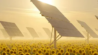 India's Agrivoltaics Push Separates Crop Shade from Solar Capacity Alone