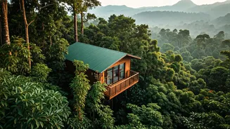 Kerala Silent Valley National Park Houses The Best Treehouse Retreats
