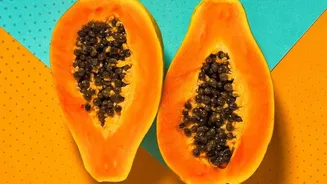 Papaya Contains Papain, but Its Effects Should Not Be Overstated