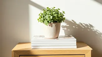 Spring Refresh: 5 Budget Decor Tips for a More Productive & Happier Home