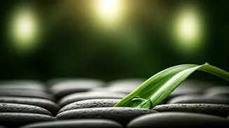 BK Shivani's 10 Wisdom Gems for Thriving Relationships: Love, Forgiveness, and Inner Peace