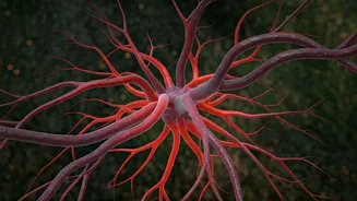 Poor Circulation: 4 Things to Avoid & Boost Blood Flow