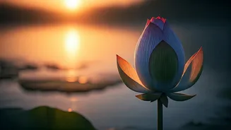 Unlock Spiritual Growth: The Profound Benefits of Observant Fasting