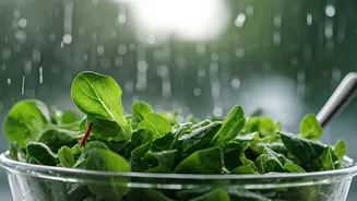 Foodies Can Enjoy Rain Without Stomach Drama