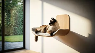 Floating Sun Perches Redefine Luxury Indoor Playground Layouts For Cats