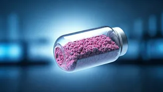 Protein Powder: Safety Concerns and Contamination