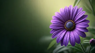 Related Stories banner