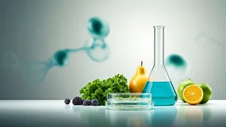 How Prebiotics And Probiotics Transformed Modern Indian Packaged Foods