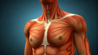 Preserve Your Muscle While on Weight Loss Drugs: Smart Strength Routines Revealed