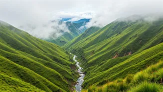 Coorg, Munnar, Nainital Lead Family Getaway Plans