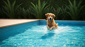 Weekend Pet Escapes Trend Hard Via Luxury Splash Yards