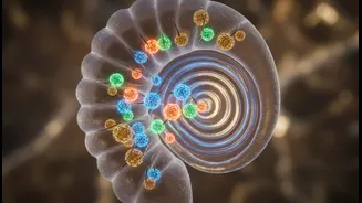 Gene Therapy For Genetic Hearing Loss is proving that some congenital hearing loss may be biologically reversible