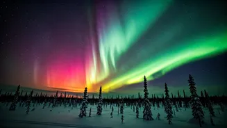 Aurora Watch: Decoding Solar Winds and Geomagnetic Storms for Dazzling Night Skies