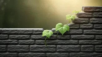 Navigating Love: How Strict Upbringings Shape Relationship Boundaries & How to Heal