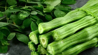 Everyday Recipes Using Drumstick Leaves: A Guide To Moringa In Everyday Meals