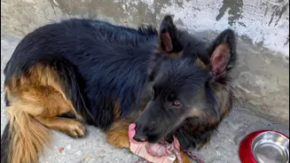 Related Stories banner