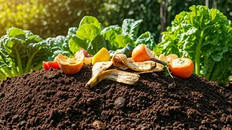 Kitchen Waste Can Power Your Garden Dreams